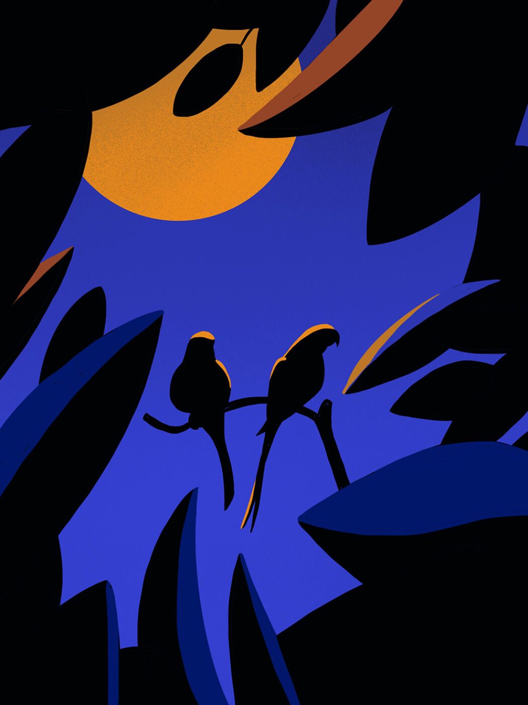 Vector birds illustrated by Petra Eriksson