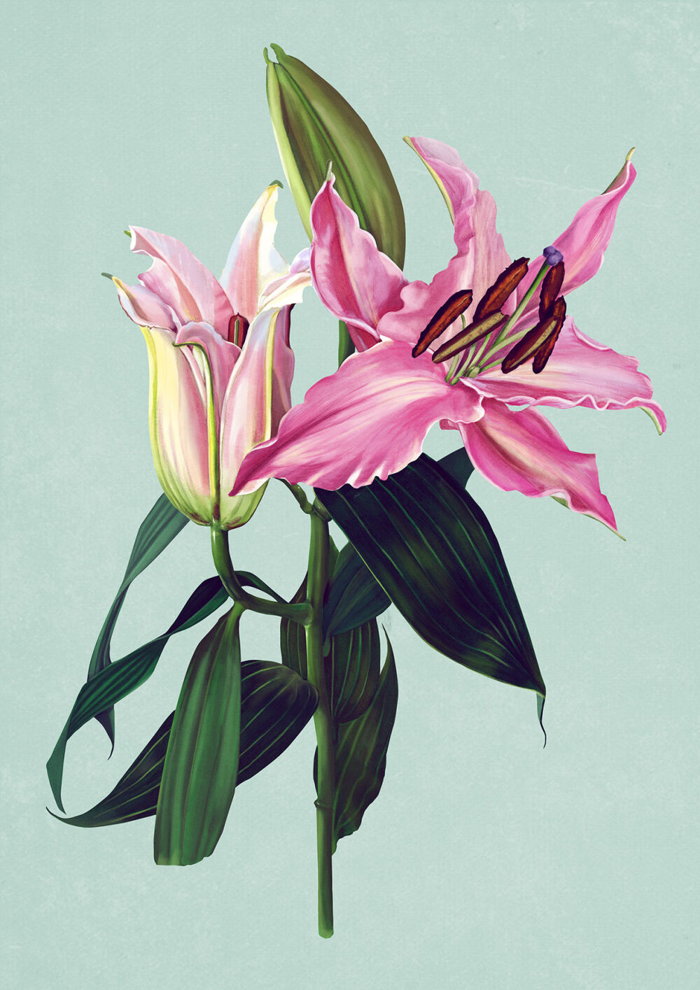 Floral illustration by Eplet