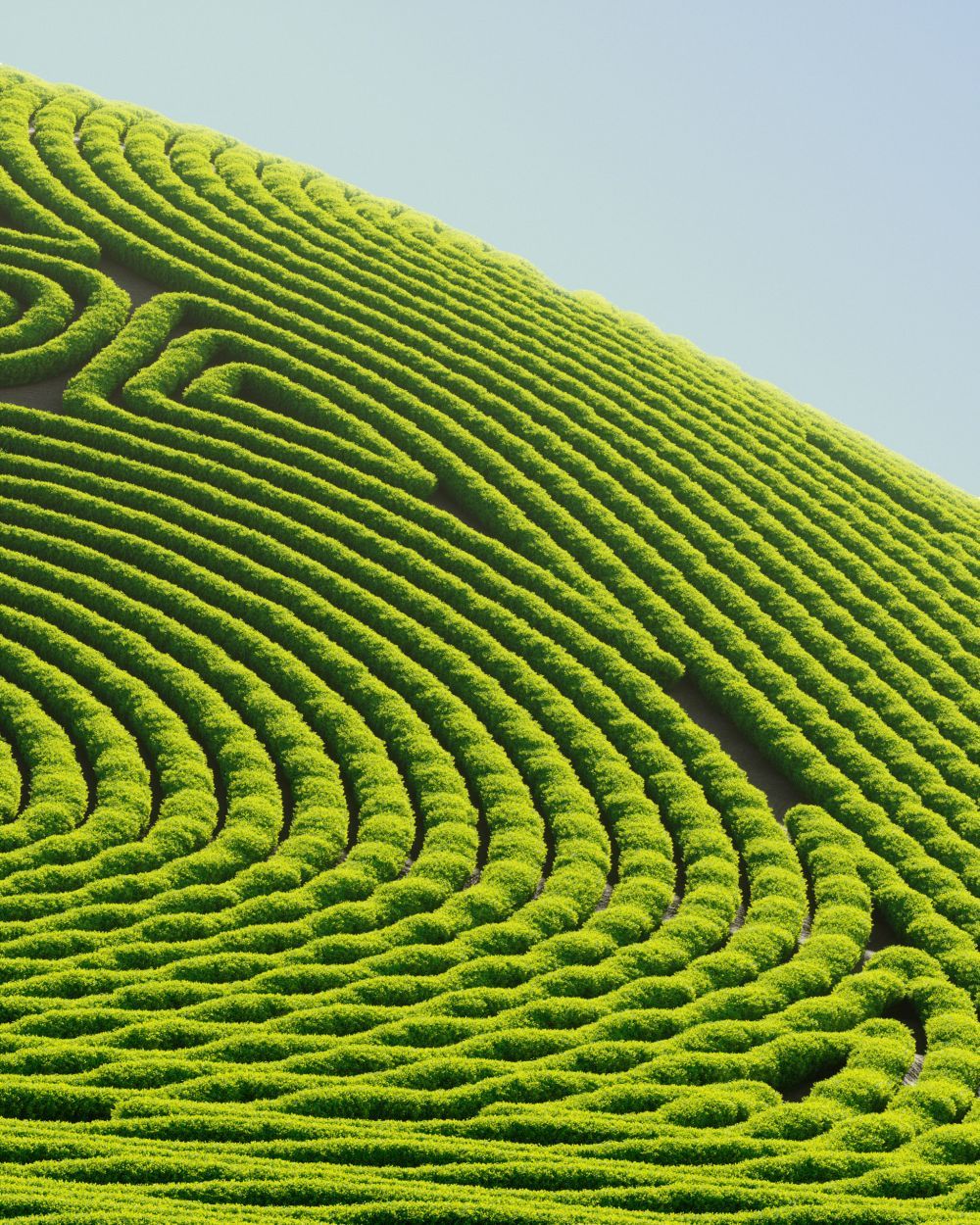 3d maze by 3D artist Marcus Chaloner