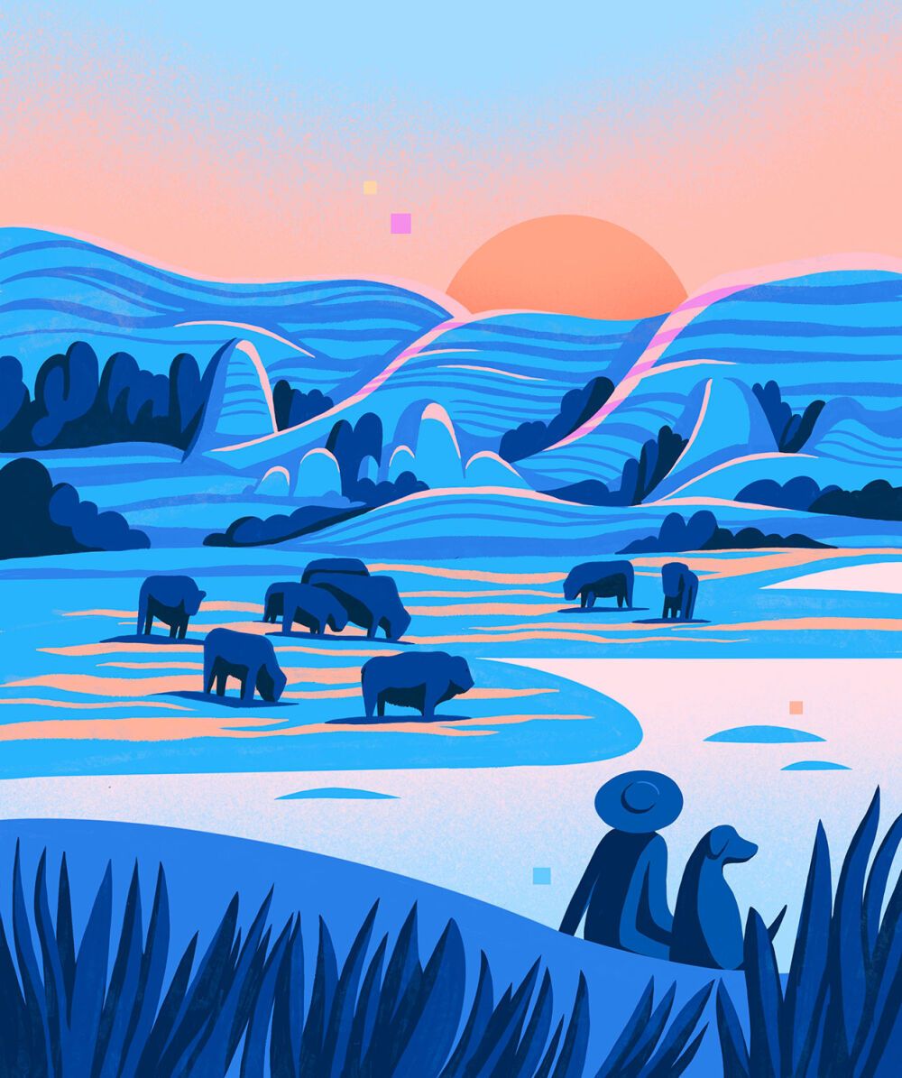 Landscape illustrated by vector artist Petra Eriksson