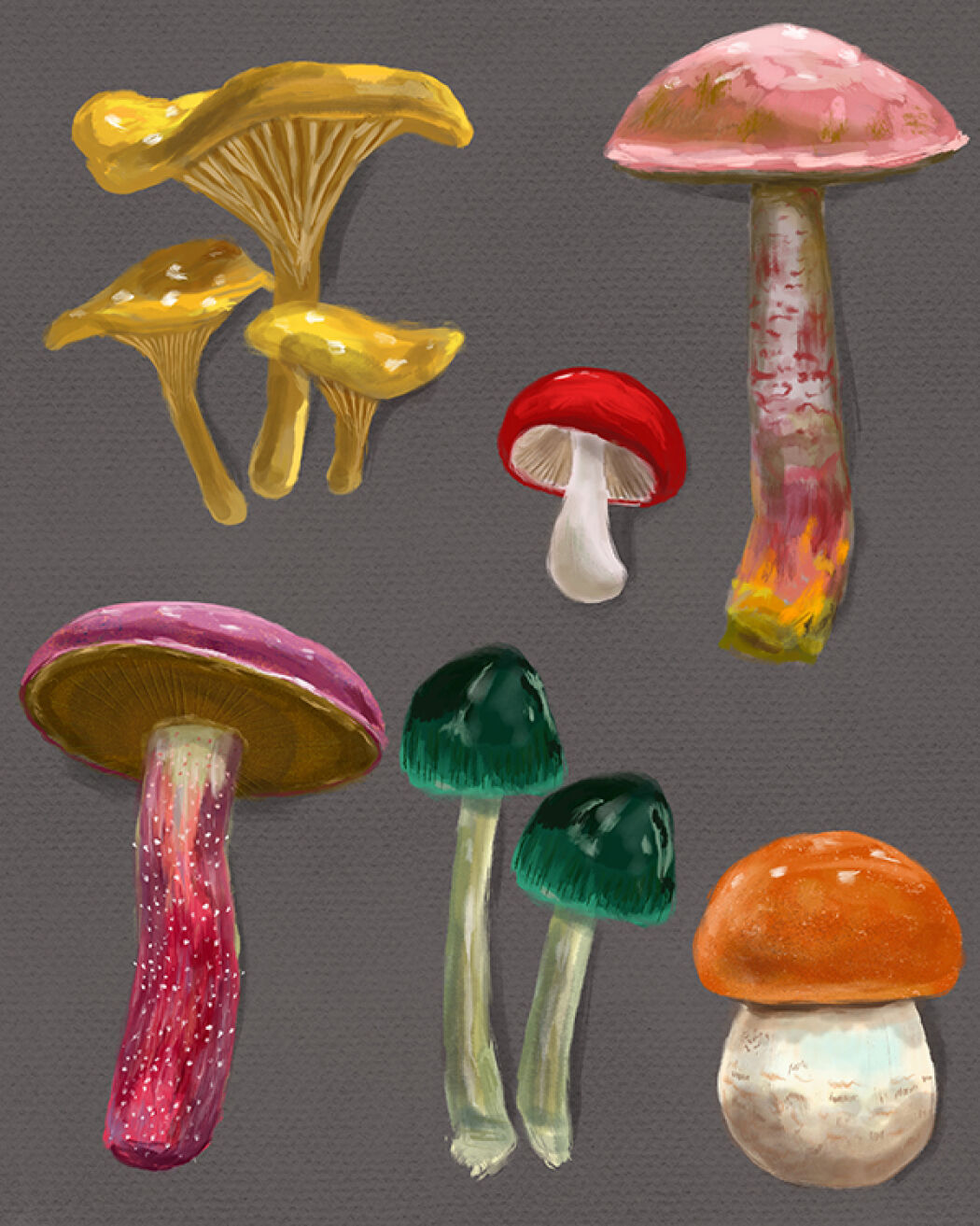 Mystique mushrooms, naturally illustrated fauna by Christina Gliha