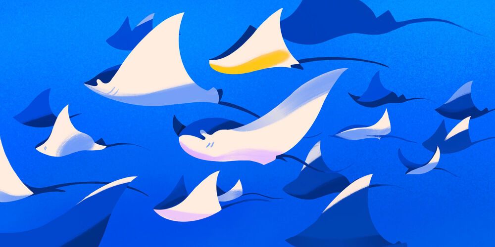 Pattern design by illustration artist Petra Eriksson