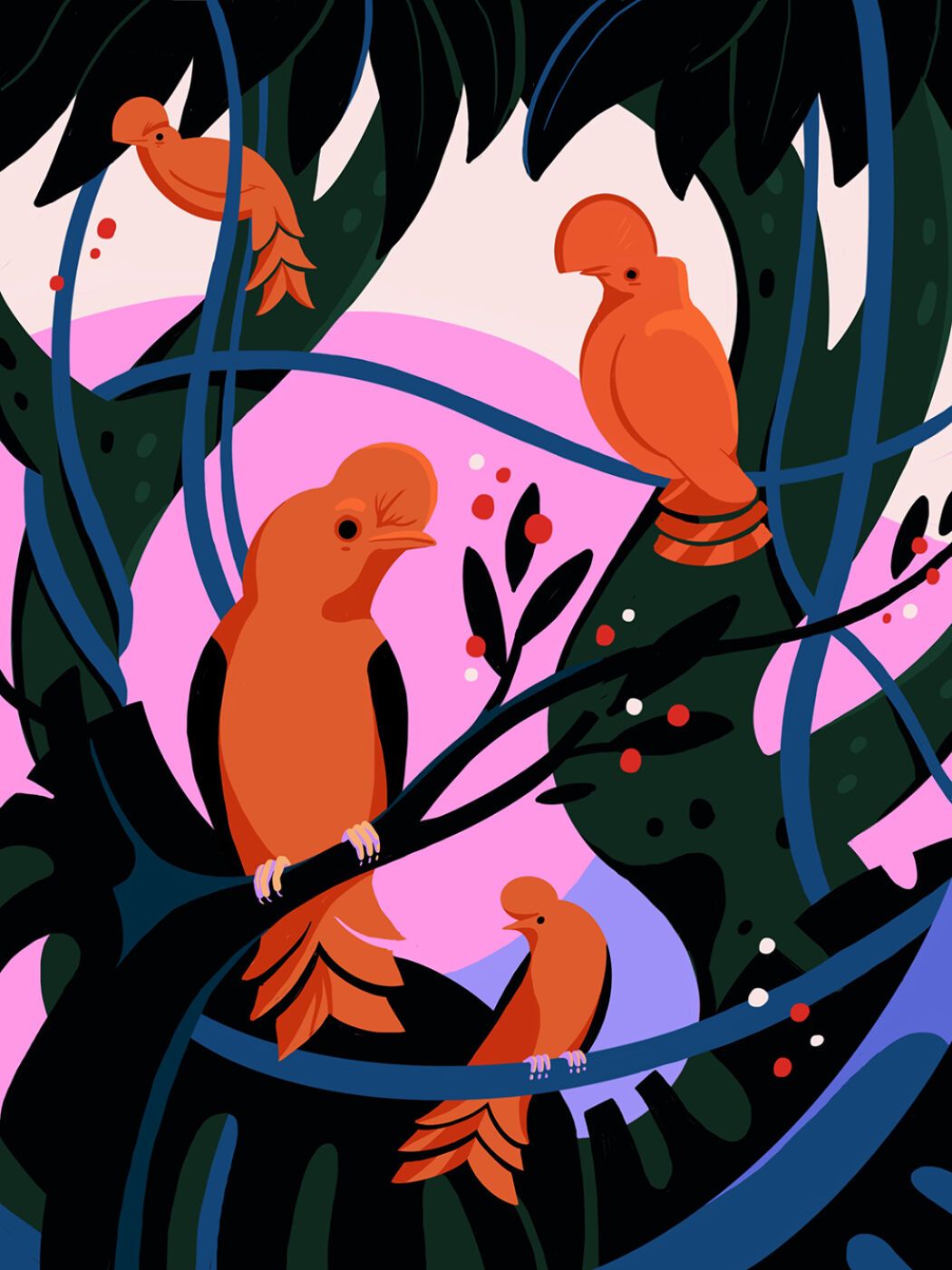 Illustrated birds by artist Petra Eriksson