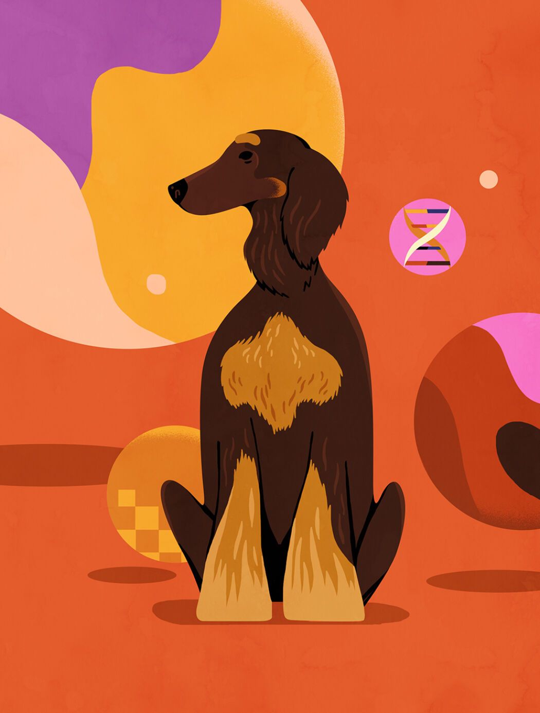 Digital dog illustration by the artist and illustrator Petra Eriksson