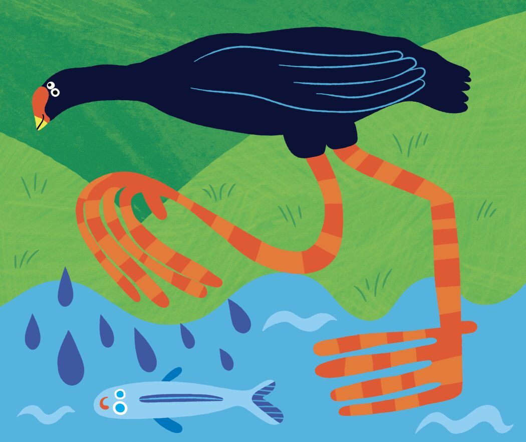 Illustrated animals by Elin Matilda Andersson