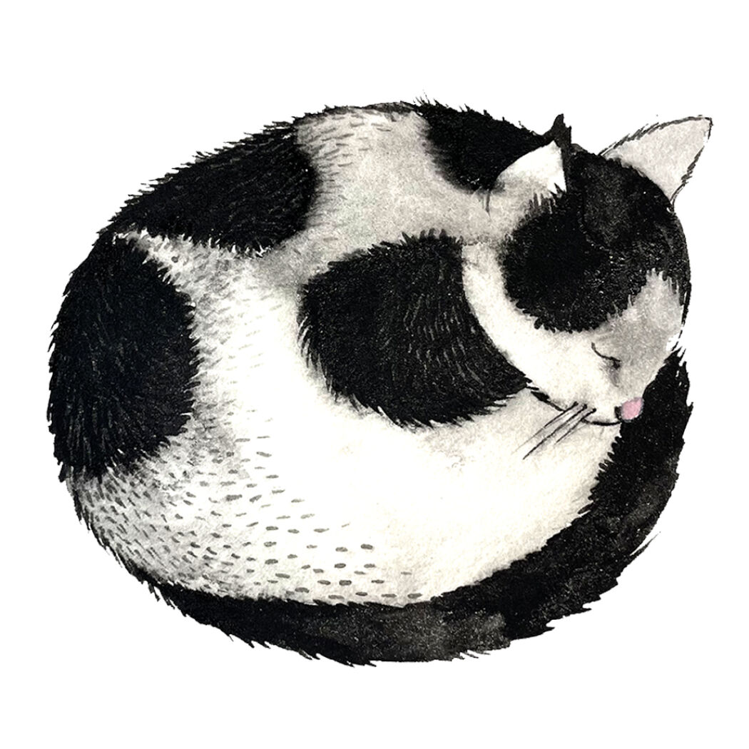 Cat character Illustration by Malin Gyllensvaan
