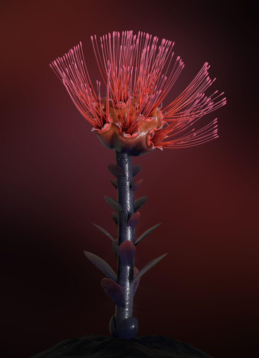 3D florals by Double Up Studio