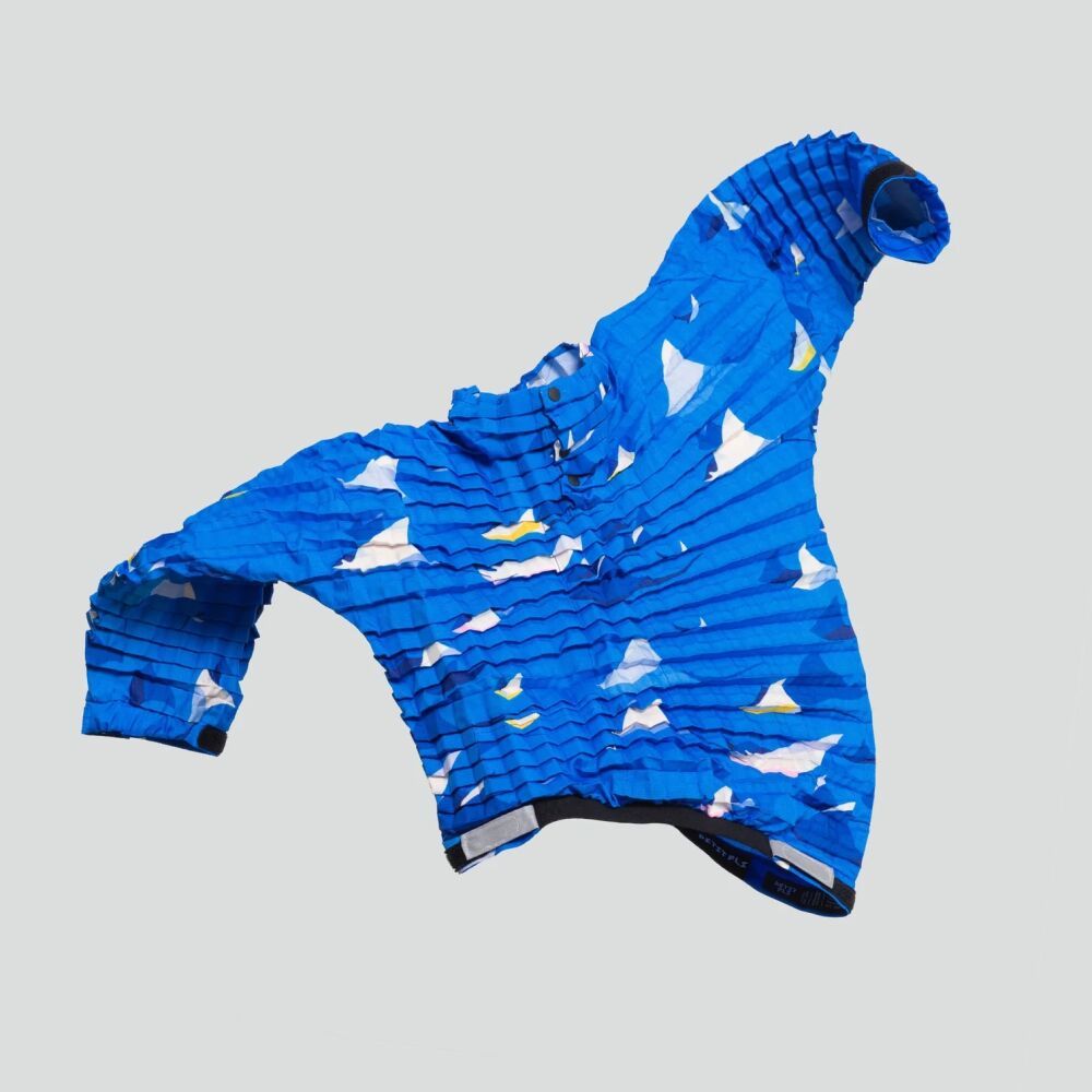 Graphic pattern illustrated by Petra Eriksson