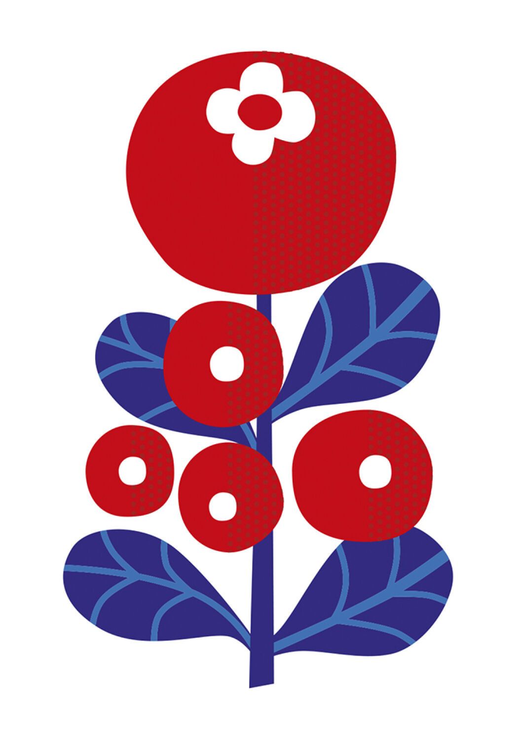 Graphic botanical art by Lotta Külhorn