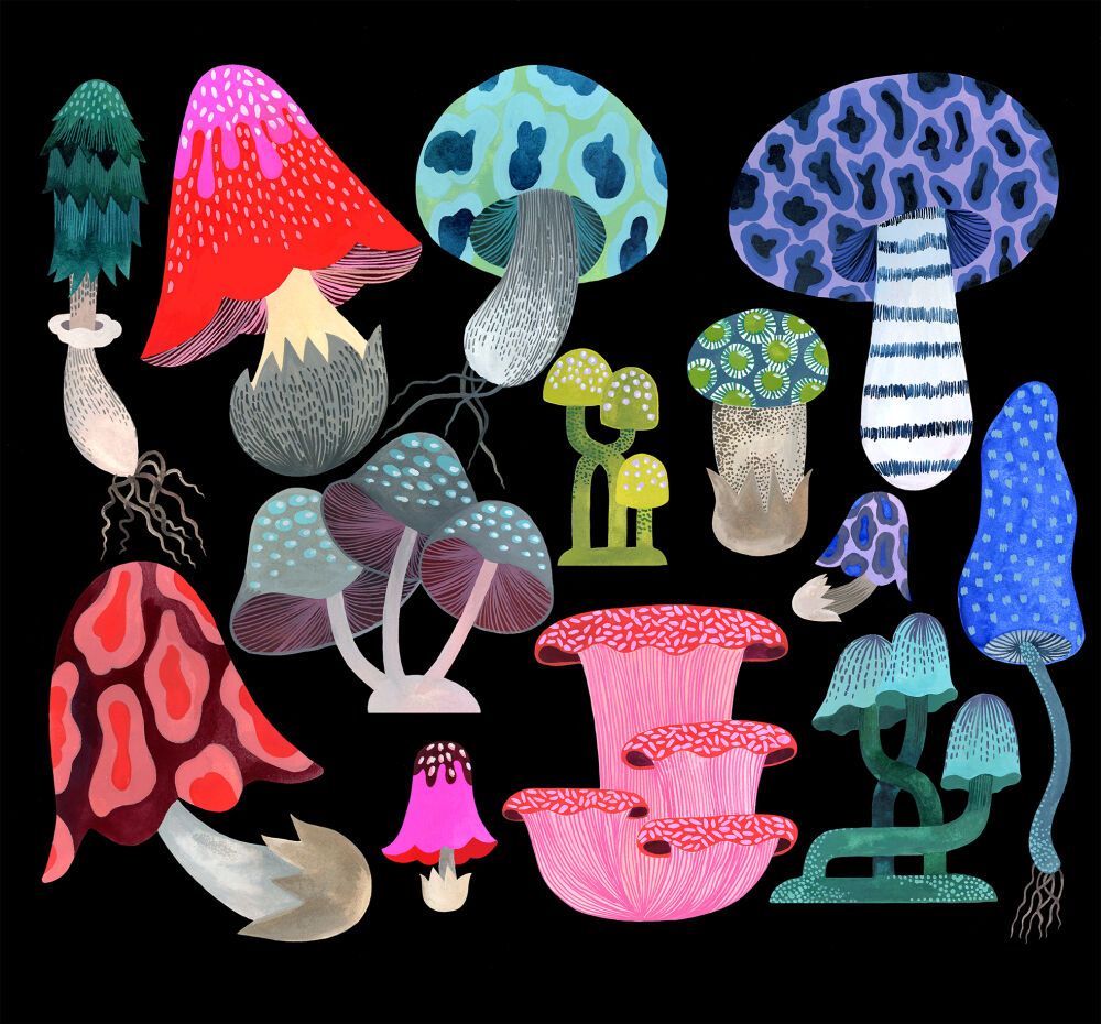 Illustrations by the lovely talanted illustrator Malin Gyllensvaan