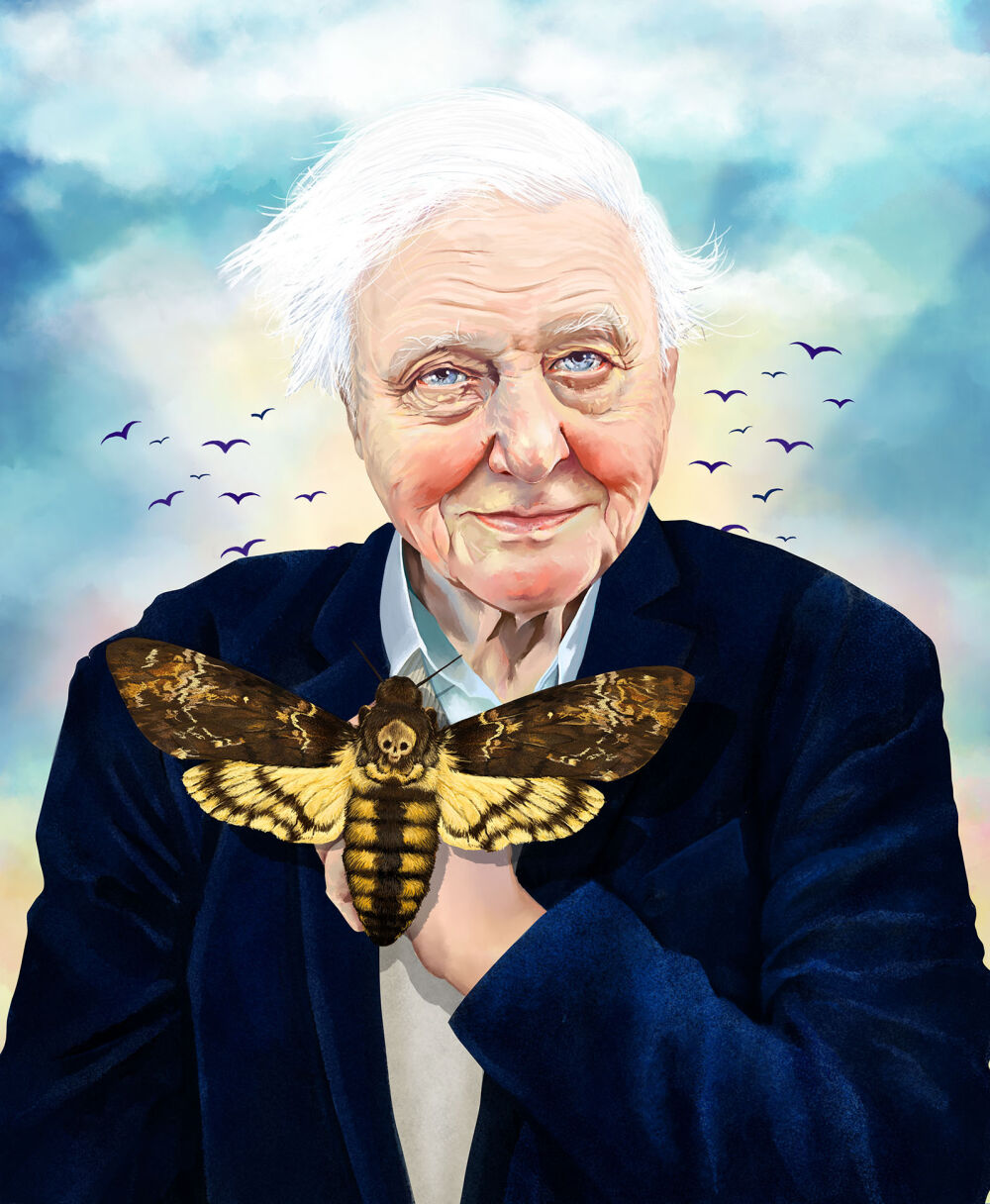 Illustrated portrait of David Attenborough by Eplet