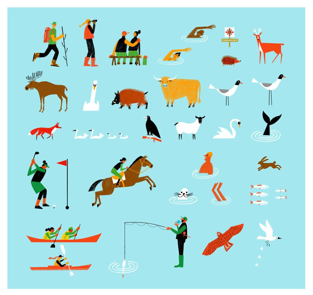 Animal illustrations by the artist Klas Fahlén