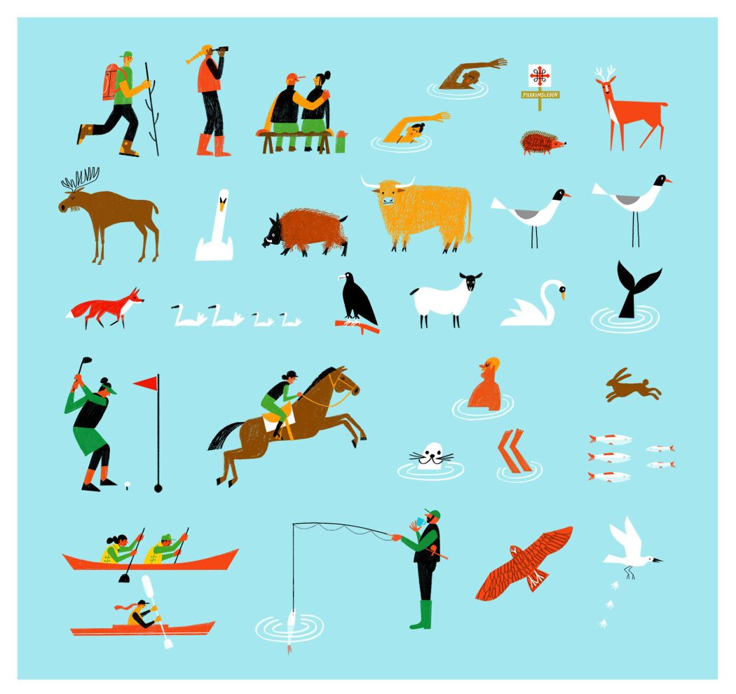 Animal illustrations by the artist Klas Fahlén